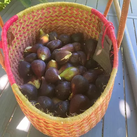 Accommodatie bij particulieren Chez Sylvie By Christophe Les Salles-du-Gardon